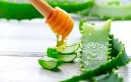 خواص سلامتی نوشیدن آب آلوئه ورا چیست؟