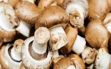 تاثیر قارچ‌های خوراکی در برابر آنفلوآنزا

