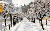 توصیه‌های اورژانس تهران برای پیاده‌روی و رانندگی در روزهای برفی
