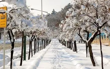 توصیه‌های اورژانس تهران برای پیاده‌روی و رانندگی در روزهای برفی
