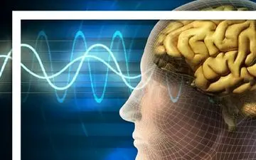 فرمان امواج مغزی به عضله