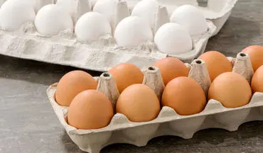 چند توصیه‌ برای نگهداری مناسب تخم مرغ‌