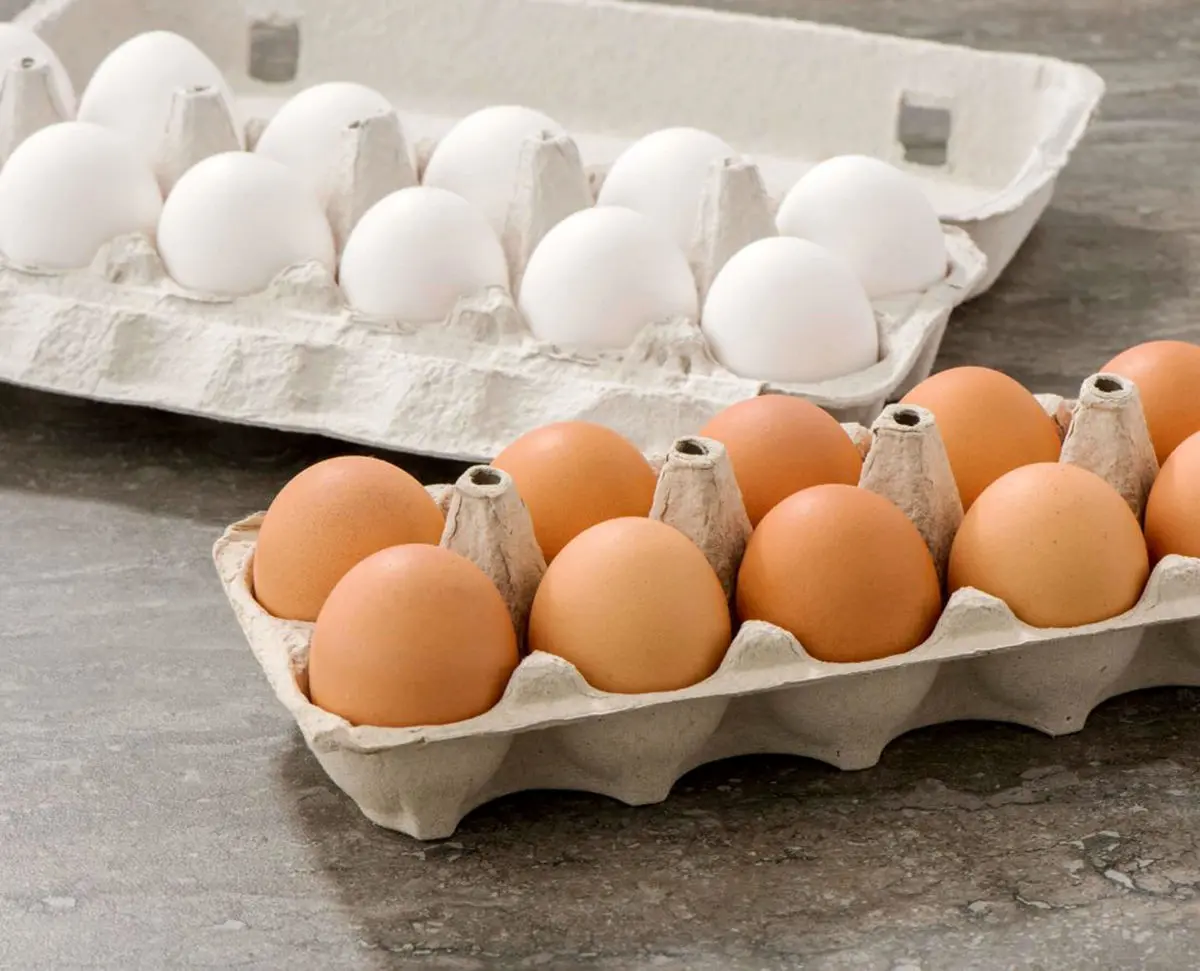 چند توصیه‌ برای نگهداری مناسب تخم مرغ‌
