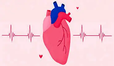 تعداد ضربان قلب در یک روز یا در طول زندگی چقدر است؟
