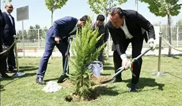 درختکاری مارک ویلموتس در بازدید از مرکز ملی فوتبال