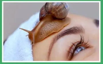 آیا حلزون تراپی، پایه علمی دارد؟