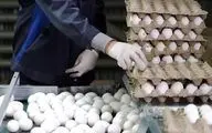  قیمت تخم مرغ در یک ماه دو برابر شد! / جدیدترین قیمت تخم مرغ در خرداد ۱۴۰۴ 