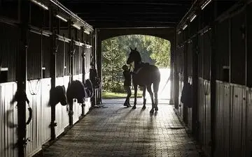 
افتتاح بزرگترین مانژ سوارکاری غرب کشور