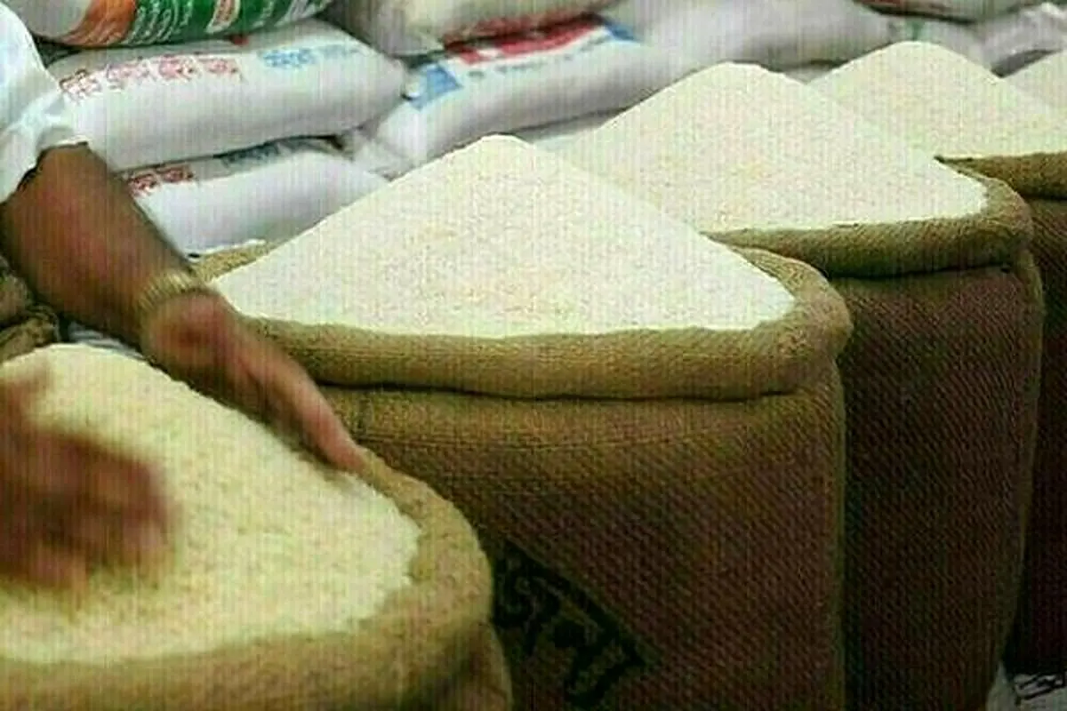 کاهش قیمت برنج تا دو هفته آینده