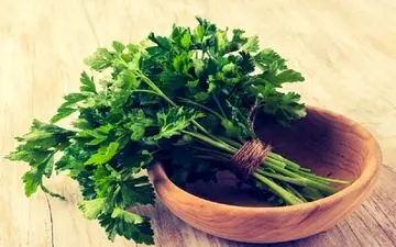 با این گیاهان دارویی دم دستی و پر خاصیت آشنا شوید