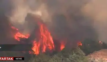 آتش سوزی‌ جنگلی در اوکلاهما آمریکا + فیلم