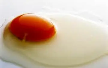 عکس/ بزرگترین نیمرو جهان