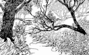 در تصویر صورت دختر پنهان شده است / اگر تیزبینی پیداش کن!