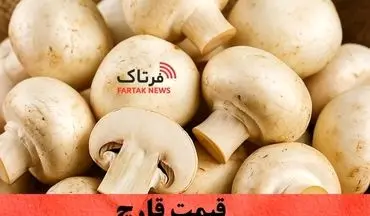 قیمت قارچ امروز شنبه ۱۹ مهر ۱۴۰۴ |نوسان تازه در بازار قارچ