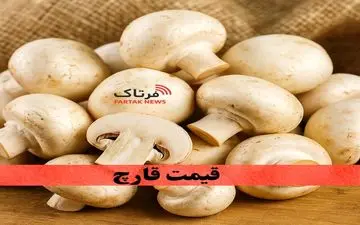 قیمت قارچ امروز شنبه ۱۹ مهر ۱۴۰۴ |نوسان تازه در بازار قارچ