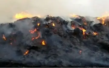 آتش در جنگلهای الوار اندیمشک زبانه کشید