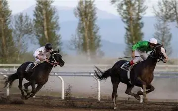 هفته یازدهم مسابقات اسبدوانی کورس پائیزه در گنبدکاووس برگزار شد 