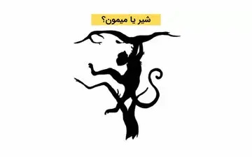 تست شخصیت؛ اولین چیزی که در تصویر ببینید نشان می‌دهد حوصله دارید یا خیر؟
