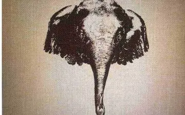 تست دقت| دو حیوان پنهان در تصویر کجاست؟ ذهن خلاق خودت را محک بزن!