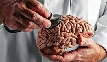 می خواهید مغزتان جوان بماند؟ بخوانید