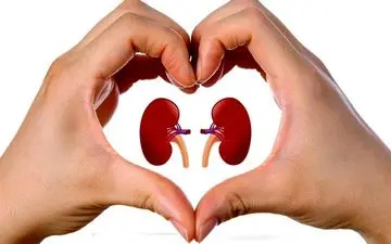  علت ایجاد سنگ کلیه چیست؟