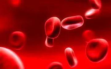 این افراد نمی‌تواند خون اهدا کنند/ شرایط و محدودیت‌های اهدای خون