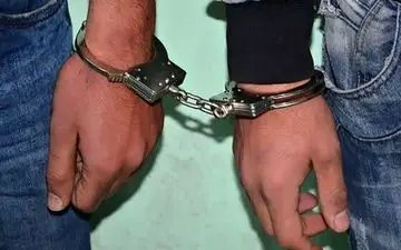  عجیب ولی واقعی؛ شیر باغ وحش ساری دزدیده شد