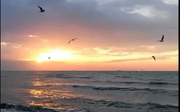 تست شخصیت شناسی با غروب خورشید