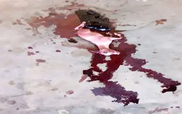 زنی پس از 2 سال بارداری یک بز به دنیا آورد!!! +تصاویر