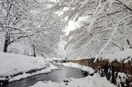 بارش برف و باران در ۲۷ استان | سرمای کم سابقه و یخبندان در ۲۴ استان + اسامی استانها
