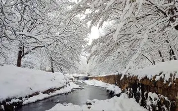 بارش برف و باران در ۲۷ استان | سرمای کم سابقه و یخبندان در ۲۴ استان + اسامی استانها