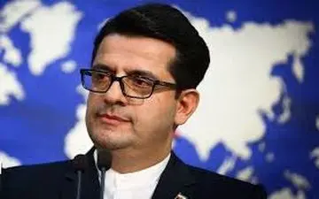 موسوی:نه گردن ملت ایران بلکه زانوی شما خُرد شد!