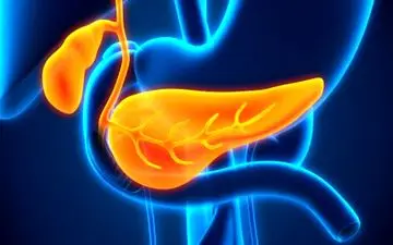 
تاثیر تهاجم قارچی در بروز نوعی سرطان لوزالمعده
