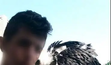 شکارچی غیرمجاز پرندگان در حال انقراض در تالاب هورالعظیم دستگیر شد