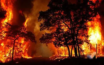 آتش سوزی گسترده در اسپانیا + فیلم