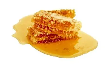 عسل را با این 6 چیز نخورید! | ترکیبات غذایی ممنوعه با عسل که باید بشناسید