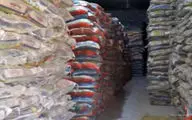 کشف پی در پی احتکار کالا/ پلمپ انبار حاوی 220 تن برنج + فیلم 
