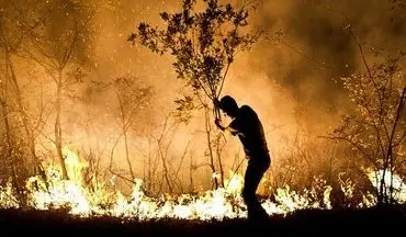 آتش سوزی منطقه حفاظت شده کوه دیل گچساران مهار و در حال پایش است