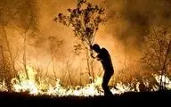 آتش سوزی منطقه حفاظت شده کوه دیل گچساران مهار و در حال پایش است