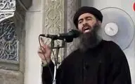 ابوبکر بغدادی سرکرده داعش زنده است!