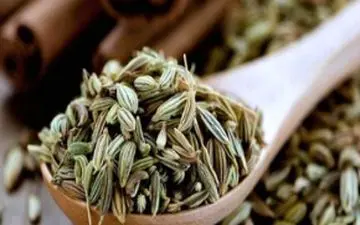 با مصرف این داروی گیاهی نفخ را درمان کنید

