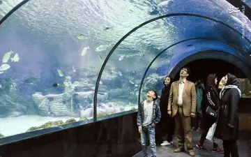 عکس/ تونل آکواریوم اصفهان