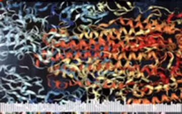  کشف دانشمندان آمریکایی:صدای آهنگی که از ساختار کرونا ویروس می‌آید!