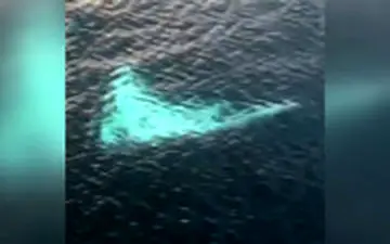  سفره‌ماهی عجیب و نادر در آب‌های اندونزی