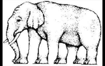 تست هوش به ظاهر ساده ولی سخت/این فیل چند تا پا دارد؟