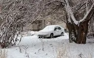  هواشناسی ایران ۹۸/۱۰/۲۲|هشدار کاهش ۱۲ درجه‌ای دما/ بارش برف ۲ روزه در ۷ استان