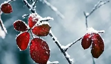 طبیعت زیبا و زمستانی "دربندهیر" + فیلم 