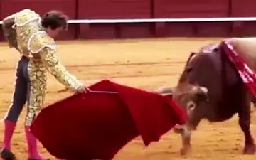 عاقبت شوخی گاوباز با گاو وحشی + فیلم