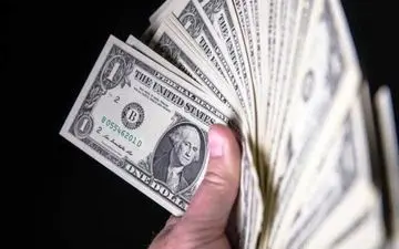 دلارهای قاچاق در پاوه به مقصد نرسید 

