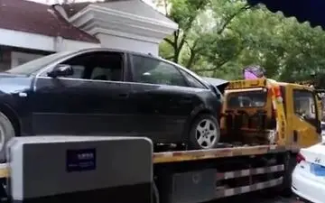 سگ جسوری که باعث تصادف صاحبش شد 